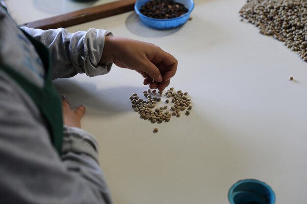 5 Tips for Choosing the Best Coffee Bean Supplier