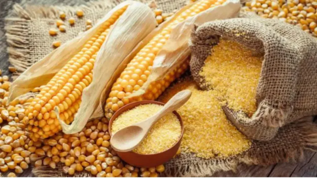 Maize Meal