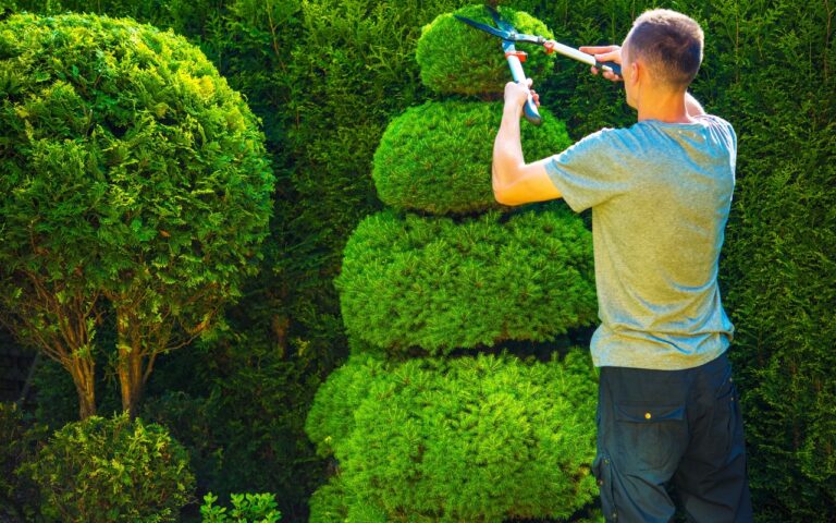 Master the Art of Tree Trimming for a Healthy, Beautiful Landscape 