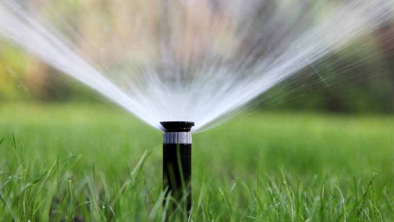 Irrigation Company