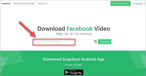 SnapSave: The Best Tool for Downloading Facebook Videos in 2025