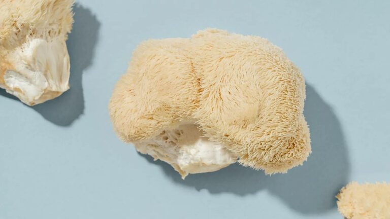 What Is Lion's Mane Like to Eat